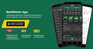 BetWinner Platform Your Ultimate Betting Experience